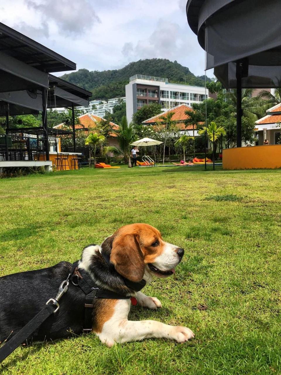 Jazz U Garden Resort Kata Beach  Exterior photo